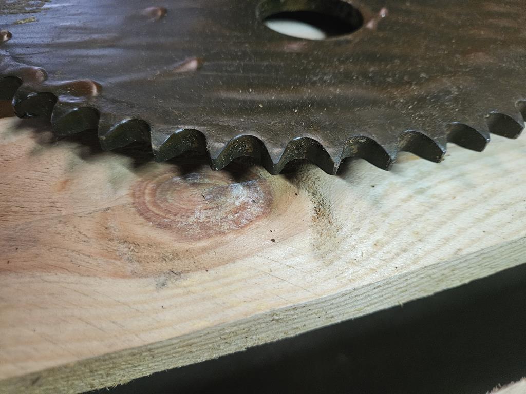 3 Koło zębate 80420347